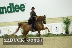 24BUCK_00929 thumbnail