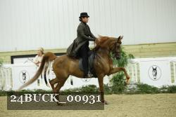 24BUCK_00931 thumbnail