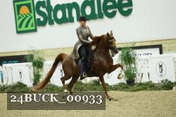 24BUCK_00933 thumbnail