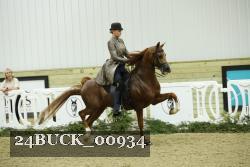 24BUCK_00934 thumbnail