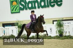 24BUCK_00936 thumbnail