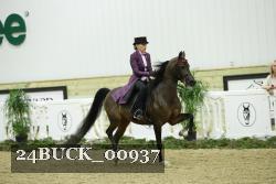 24BUCK_00937 thumbnail
