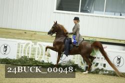 24BUCK_00948 thumbnail