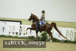 24BUCK_00950 thumbnail