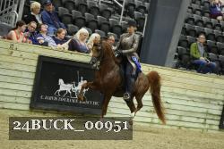 24BUCK_00951 thumbnail