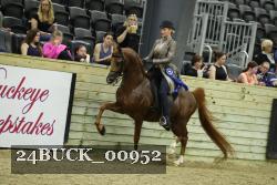24BUCK_00952 thumbnail
