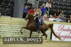 24BUCK_00953 thumbnail
