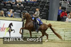 24BUCK_00954 thumbnail