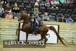 24BUCK_00955 thumbnail
