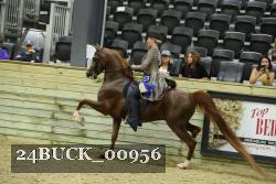 24BUCK_00956 thumbnail
