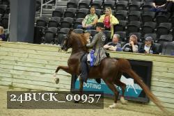 24BUCK_00957 thumbnail