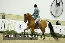 24BUCK_00961 thumbnail