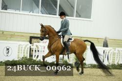 24BUCK_00962 thumbnail