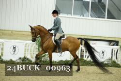 24BUCK_00963 thumbnail
