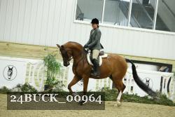24BUCK_00964 thumbnail