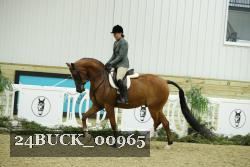 24BUCK_00965 thumbnail