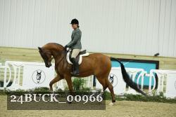 24BUCK_00966 thumbnail
