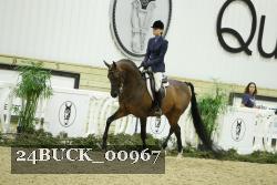 24BUCK_00967 thumbnail