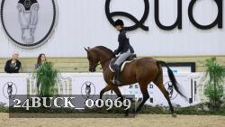 24BUCK_00969 thumbnail