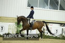 24BUCK_00970 thumbnail