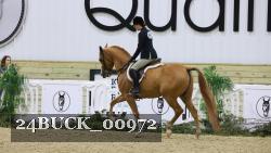 24BUCK_00972 thumbnail