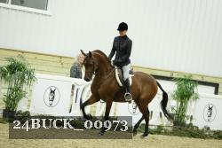 24BUCK_00973 thumbnail
