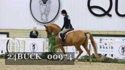 24BUCK_00974 thumbnail