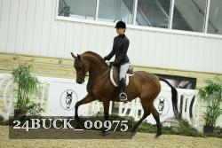 24BUCK_00975 thumbnail