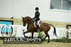 24BUCK_00976 thumbnail