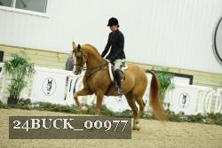 24BUCK_00977 thumbnail