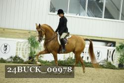 24BUCK_00978 thumbnail