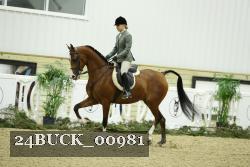 24BUCK_00981 thumbnail