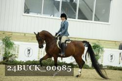 24BUCK_00985 thumbnail