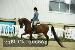 24BUCK_00986 thumbnail