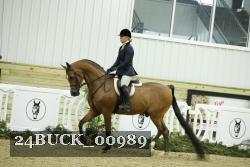 24BUCK_00989 thumbnail
