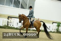 24BUCK_00990 thumbnail