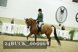 24BUCK_00996 thumbnail