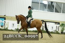 24BUCK_00997 thumbnail