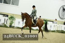 24BUCK_01001 thumbnail