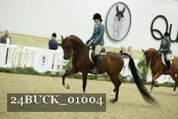 24BUCK_01004 thumbnail