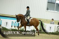 24BUCK_01005 thumbnail