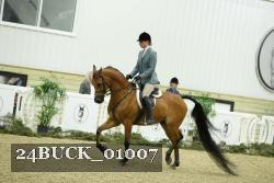 24BUCK_01007 thumbnail