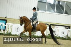 24BUCK_01008 thumbnail