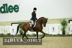 24BUCK_01012 thumbnail
