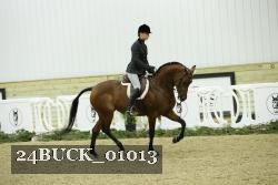 24BUCK_01013 thumbnail