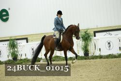 24BUCK_01015 thumbnail
