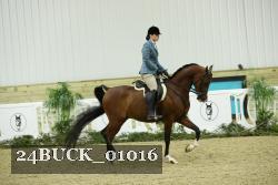 24BUCK_01016 thumbnail