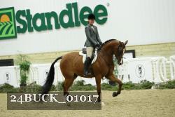 24BUCK_01017 thumbnail