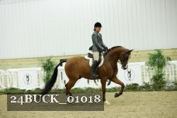 24BUCK_01018 thumbnail