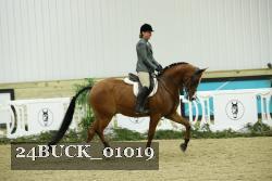 24BUCK_01019 thumbnail